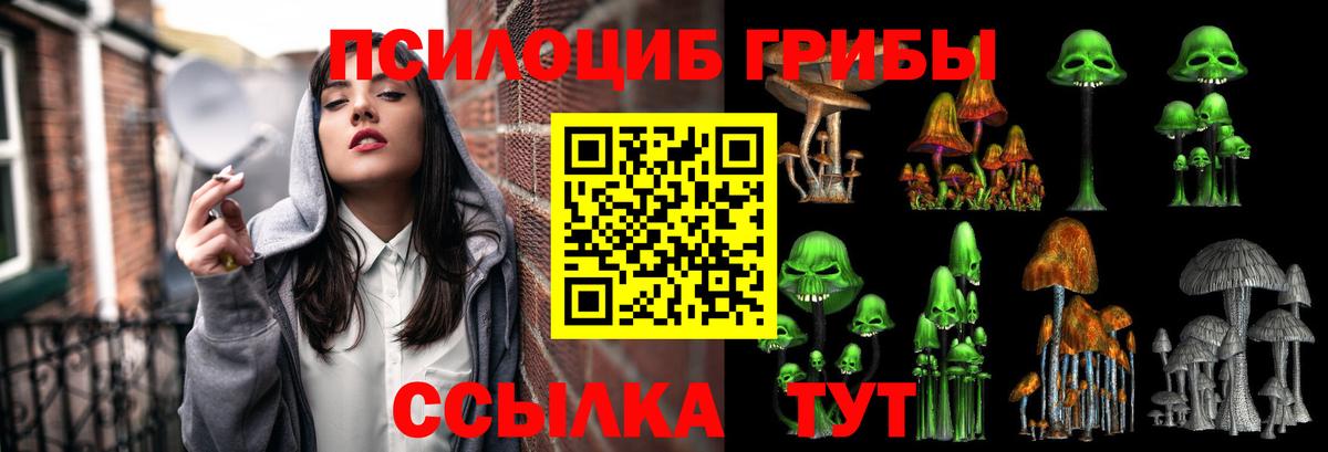 Галлюциногенные грибы MAGIC MUSHROOMS  Вход с VPN  Вязники  Псилоцибиновые грибы MAGIC MUSHROOMS 